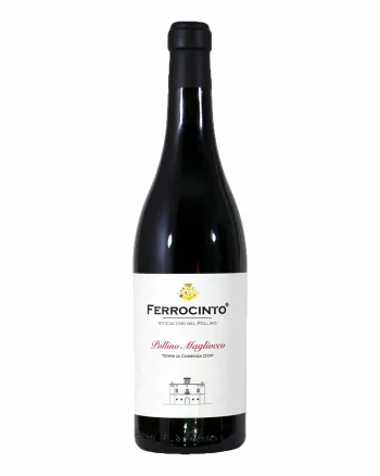 Pollino Magliocco DOP Terre di Cosenza Ferrocinto